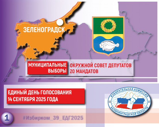 ЕДГ-2025. Зеленоградский муниципальный округ     