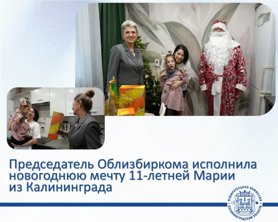 Председатель облизбиркома приняла участие в «Ёлке желаний»