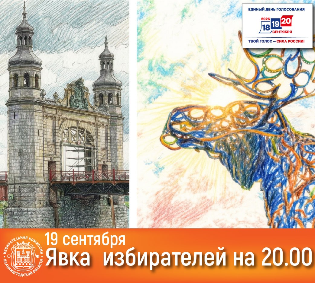 На 20 часов по итогам второго дня голосования явка на выборах в Калининградской области составила