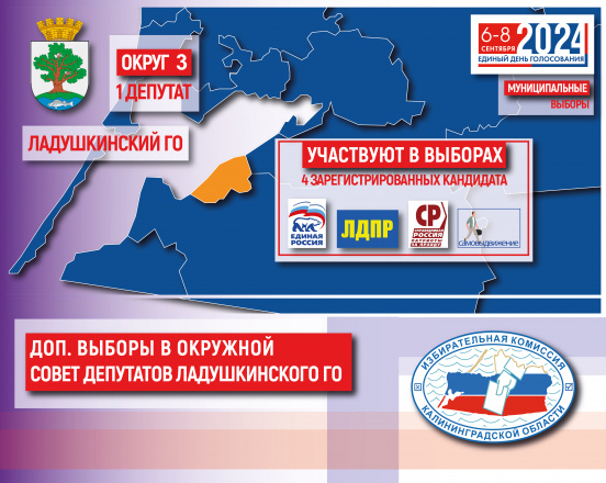 Муниципальные выборы. Зарегистрированные кандидаты