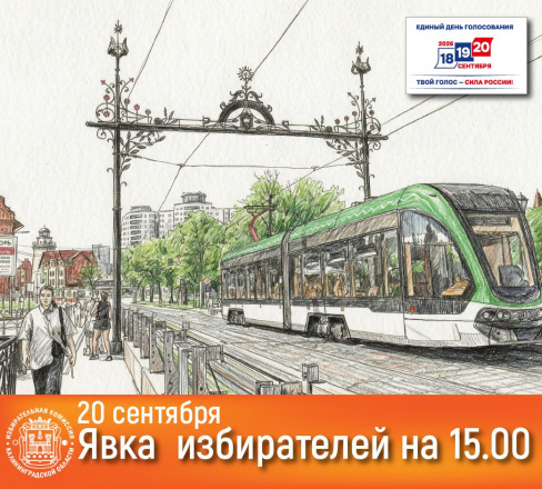 Явка избирателей в Калининградской области на 15:00 20.09.2026г.