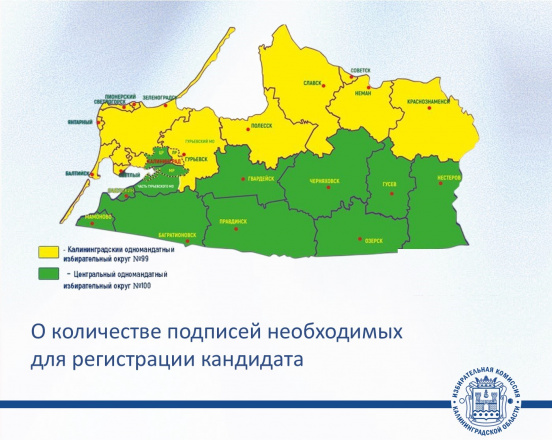 ЕДГ-2026. Поддержка выдвижения кандидата на выборах в Госдуму РФ