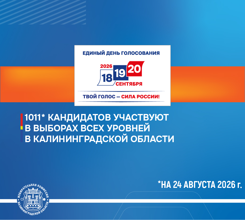 До начала голосования осталось 24 дня. 1011 кандидатов принимают участие в выборах в Калининградской области, из них 557 по одномандатным округам