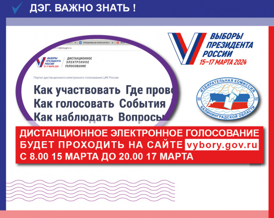 Дистанционное электронное голосование будет проходить с 8.00 15 марта до 20.00 17 марта