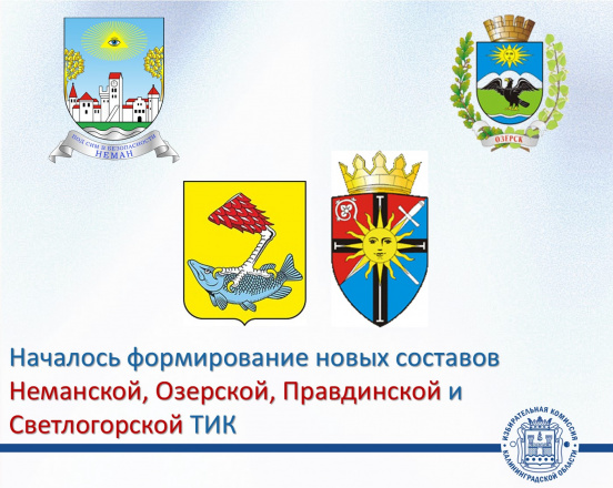 Избирком принял решение приступить к формированию Неманской, Озерской, Правдинской и Светлогорской территориальных избирательных комиссий