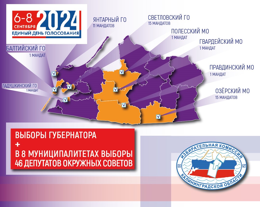 Какие выборы пройдут в Калининградской области в 2024 году?