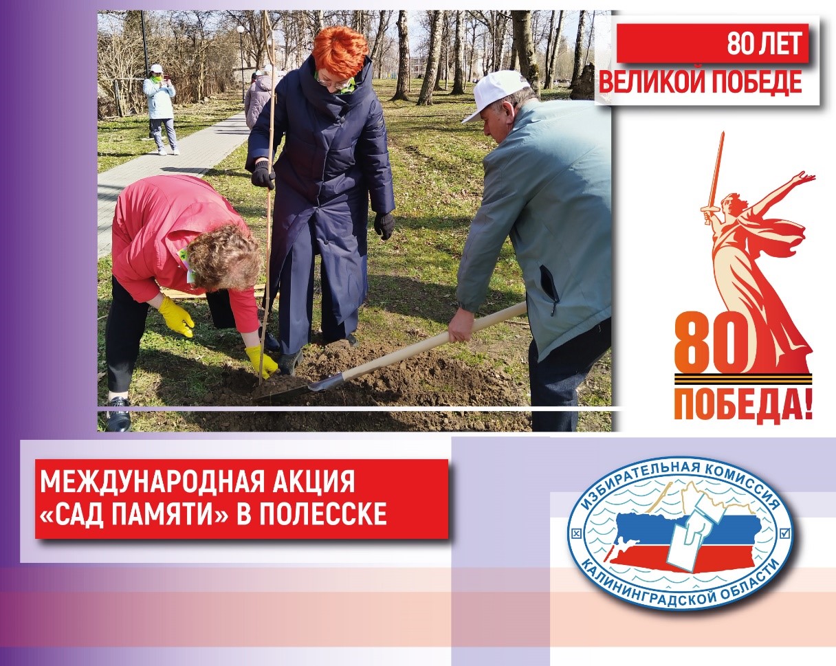 Деревья в память о павших в Великой Отечественной войне