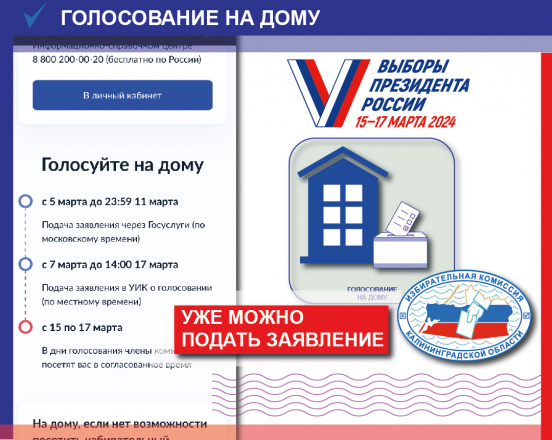 Подать заявление о голосовании на дому уже можно на портале «Госуслуги»